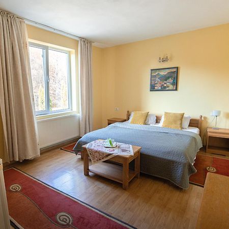 Pensiunea Limpedea Felsőbánya Kültér fotó